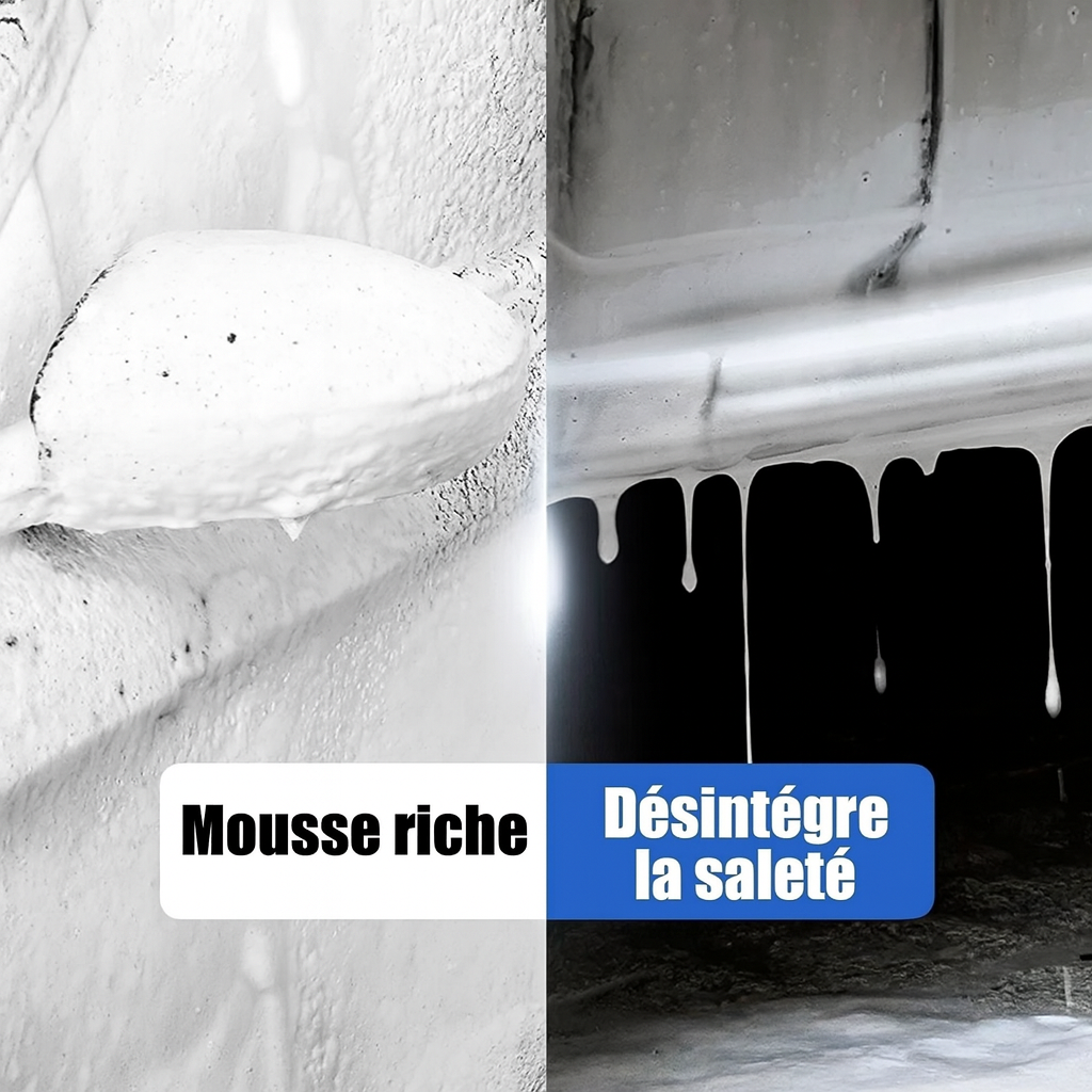 Pulvérisateur Électrique à Mousse WONST – Detailing Auto Maniac Auto Style